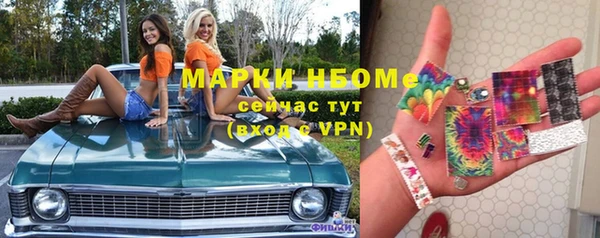 шишки Дмитров