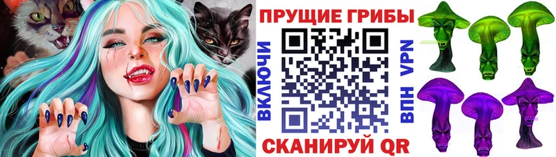Галлюциногенные грибы GOLDEN TEACHER  как найти закладки  Починок 