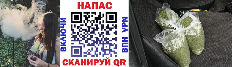 Канабис индика Починок